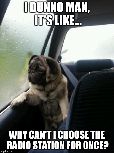 Introspective Pug | I DUNNO MAN, IT'S LIKE... WHY CAN'T I CHOOSE THE RADIO STATION FOR ONCE? | image tagged in introspective pug | made w/ Imgflip meme maker