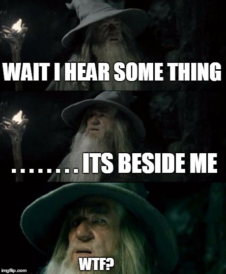 Confused Gandalf | WAIT I HEAR SOME THING . . . . . . . . ITS BESIDE ME WTF? | image tagged in memes,confused gandalf | made w/ Imgflip meme maker