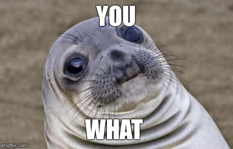 Awkward Moment Sealion | YOU WHAT | image tagged in memes,awkward moment sealion | made w/ Imgflip meme maker