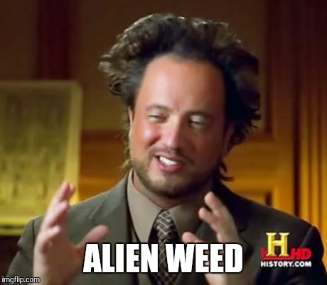Ancient Aliens Meme | ALIEN WEED | image tagged in memes,ancient aliens | made w/ Imgflip meme maker