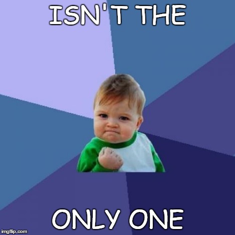 Success Kid Meme | ISN'T THE ONLY ONE | image tagged in memes,success kid | made w/ Imgflip meme maker