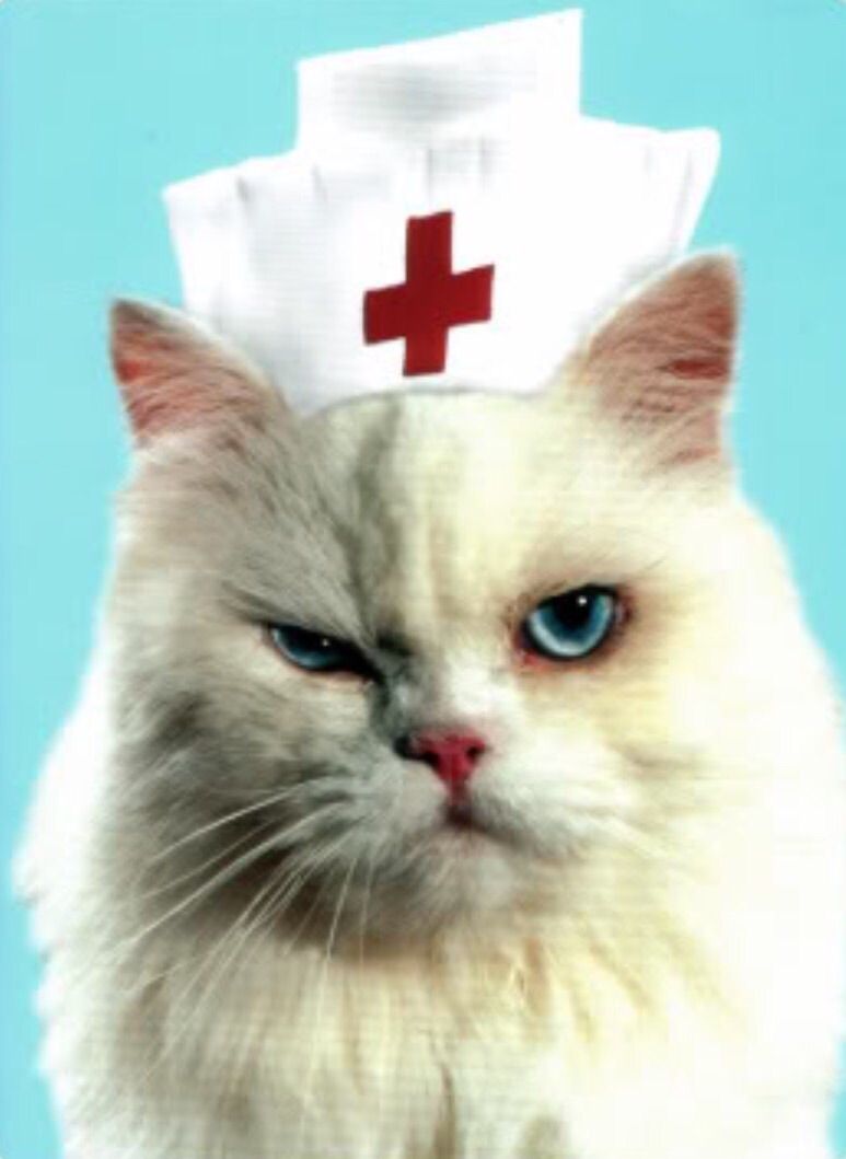 Grumpy OR nurse Blank Meme Template