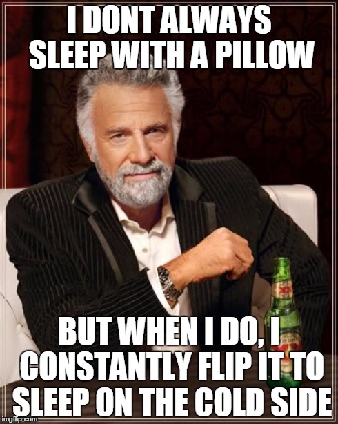 The Most Interesting Man In The World | I DONT ALWAYS SLEEP WITH A PILLOW BUT WHEN I DO, I CONSTANTLY FLIP IT TO SLEEP ON THE COLD SIDE | image tagged in memes,the most interesting man in the world | made w/ Imgflip meme maker