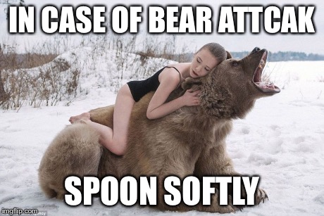 woman hugging a bear | IN CASE OF BEAR ATTCAK SPOON SOFTLY | image tagged in woman hugging a bear | made w/ Imgflip meme maker