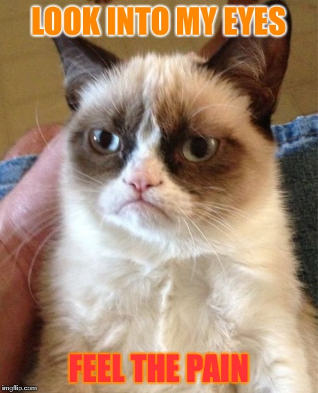 Grumpy Cat Meme | LOOK INTO MY EYES FEEL THE PAIN | image tagged in memes,grumpy cat | made w/ Imgflip meme maker
