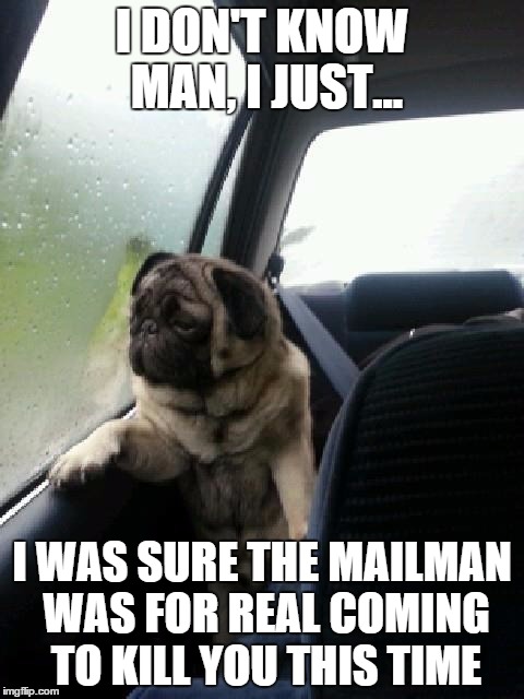 Introspective Pug | I DON'T KNOW MAN, I JUST... I WAS SURE THE MAILMAN WAS FOR REAL COMING TO KILL YOU THIS TIME | image tagged in introspective pug | made w/ Imgflip meme maker