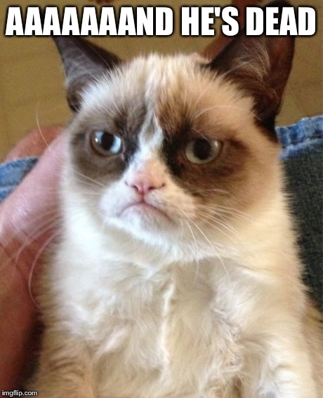 Grumpy Cat Meme | AAAAAAAND HE'S DEAD | image tagged in memes,grumpy cat | made w/ Imgflip meme maker