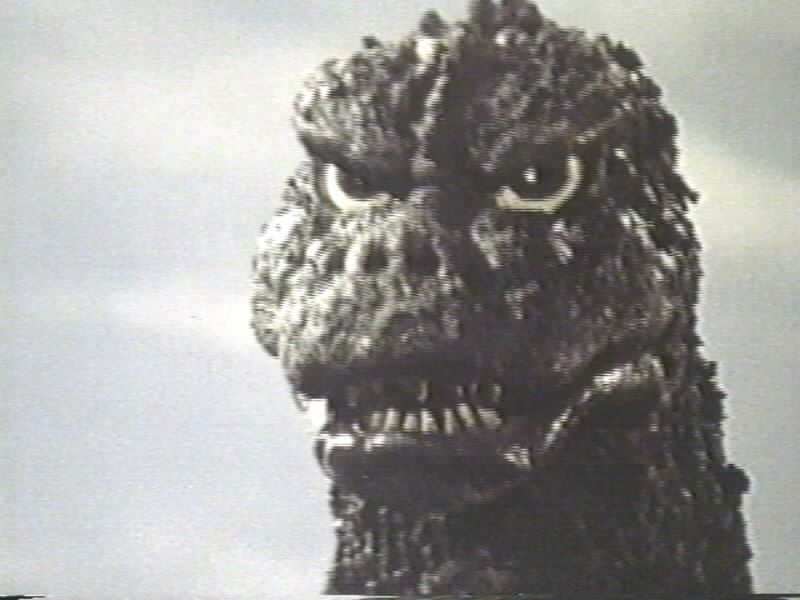 High Quality Godzilla This Is Why I Destroy Cities Blank Meme Template