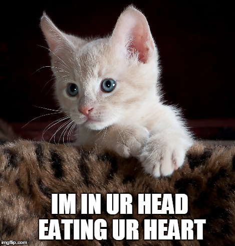 IM IN UR HEAD 
EATING UR HEART | made w/ Imgflip meme maker