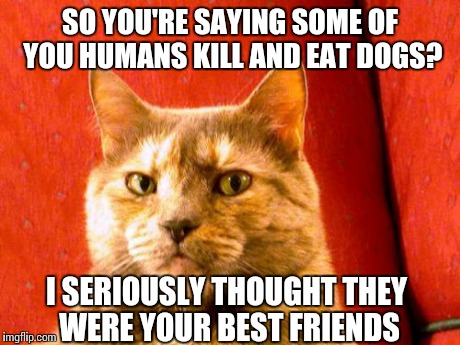 Suspicious Cat Meme | SO YOU'RE SAYING SOME OF YOU HUMANS KILL AND EAT DOGS? I SERIOUSLY THOUGHT THEY WERE YOUR BEST FRIENDS | image tagged in memes,suspicious cat | made w/ Imgflip meme maker