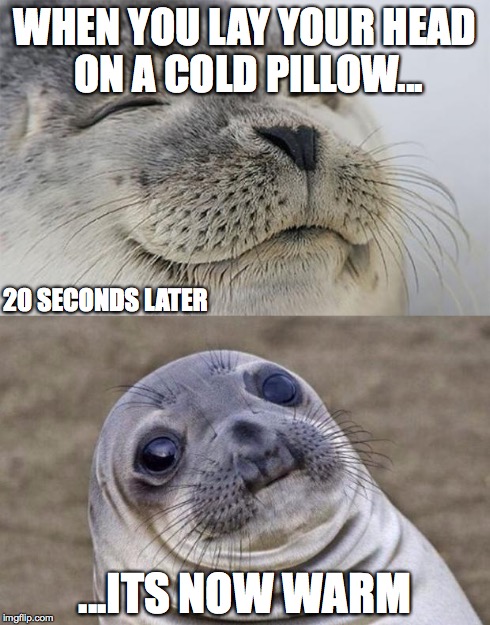 Short Satisfaction VS Truth | WHEN YOU LAY YOUR HEAD ON A COLD PILLOW... ...ITS NOW WARM 20 SECONDS LATER | image tagged in memes,short satisfaction vs truth | made w/ Imgflip meme maker