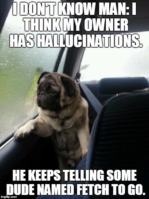 Introspective Pug | I DON'T KNOW MAN:
I THINK MY OWNER HAS HALLUCINATIONS. HE KEEPS TELLING SOME DUDE NAMED FETCH TO GO. | image tagged in introspective pug,memes,imgflip | made w/ Imgflip meme maker