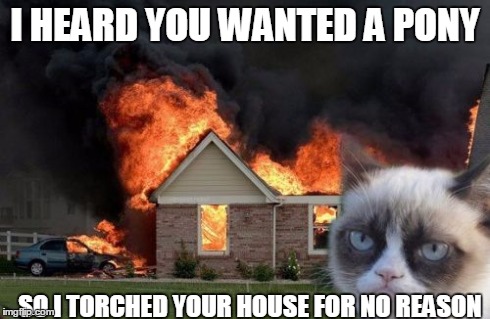 Burn Kitty | I HEARD YOU WANTED A PONY SO I TORCHED YOUR HOUSE FOR NO REASON | image tagged in memes,burn kitty | made w/ Imgflip meme maker