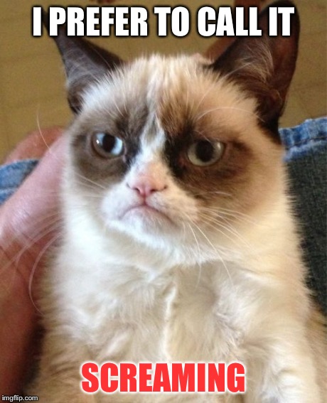 Grumpy Cat Meme | I PREFER TO CALL IT SCREAMING | image tagged in memes,grumpy cat | made w/ Imgflip meme maker