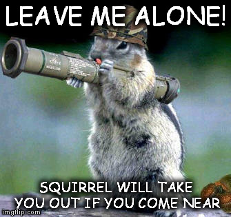 Bazooka Squirrel | LEAVE ME ALONE! SQUIRREL WILL TAKE YOU OUT IF YOU COME NEAR | image tagged in memes,bazooka squirrel | made w/ Imgflip meme maker