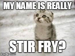 Sad Cat Meme | MY NAME IS REALLY STIR FRY? | image tagged in memes,sad cat | made w/ Imgflip meme maker