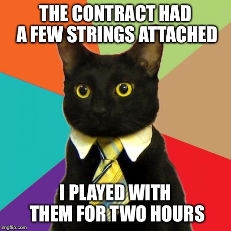 Business Cat | THE CONTRACT HAD A FEW STRINGS ATTACHED I PLAYED WITH THEM FOR TWO HOURS | image tagged in memes,business cat | made w/ Imgflip meme maker