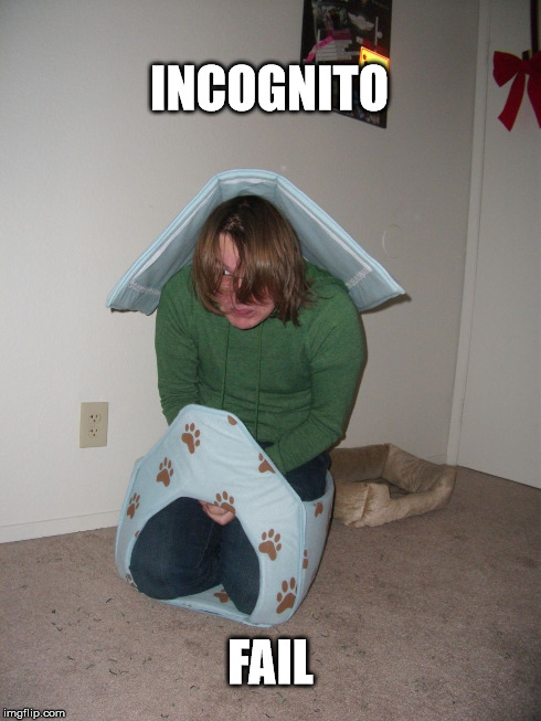 INCOGNITO FAIL | image tagged in incognito fail,memes | made w/ Imgflip meme maker