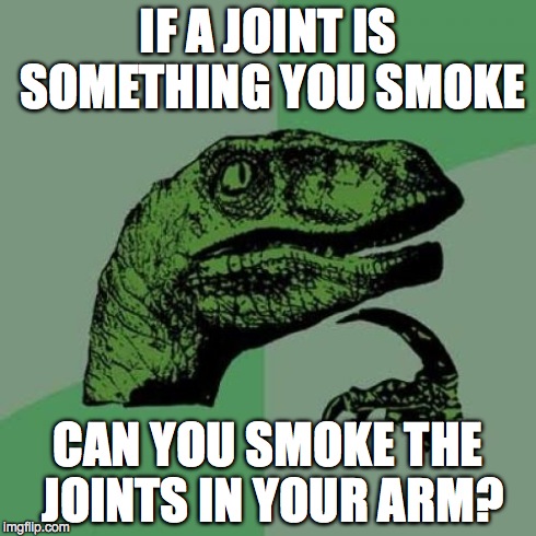 Philosoraptor Meme | IF A JOINT IS SOMETHING YOU SMOKE CAN YOU SMOKE THE JOINTS IN YOUR ARM? | image tagged in memes,philosoraptor | made w/ Imgflip meme maker