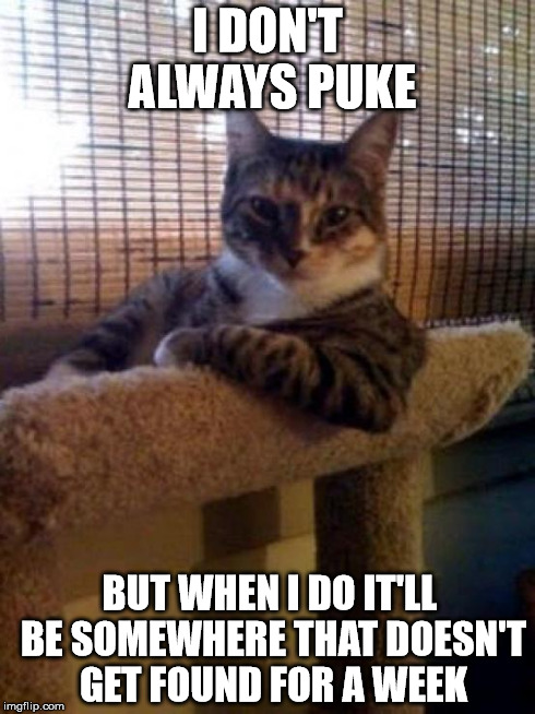 The Most Interesting Cat In The World Meme | I DON'T ALWAYS PUKE BUT WHEN I DO IT'LL BE SOMEWHERE THAT DOESN'T GET FOUND FOR A WEEK | image tagged in memes,the most interesting cat in the world | made w/ Imgflip meme maker