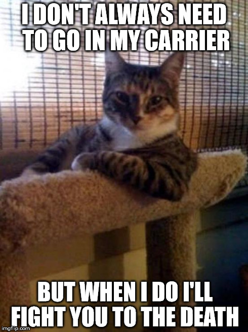 The Most Interesting Cat In The World | I DON'T ALWAYS NEED TO GO IN MY CARRIER BUT WHEN I DO I'LL FIGHT YOU TO THE DEATH | image tagged in memes,the most interesting cat in the world | made w/ Imgflip meme maker