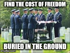 FIND THE COST OF FREEDOM BURIED IN THE GROUND | image tagged in arlington | made w/ Imgflip meme maker