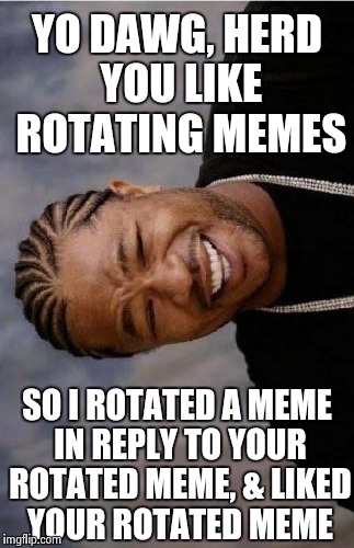 Yo Dawg Heard You Meme | YO DAWG, HERD YOU LIKE ROTATING MEMES SO I ROTATED A MEME IN REPLY TO YOUR ROTATED MEME, & LIKED YOUR ROTATED MEME | image tagged in memes,yo dawg heard you | made w/ Imgflip meme maker