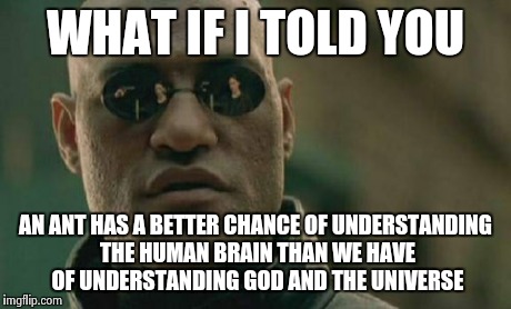 Matrix Morpheus Meme | WHAT IF I TOLD YOU AN ANT HAS A BETTER CHANCE OF UNDERSTANDING THE HUMAN BRAIN THAN WE HAVE OF UNDERSTANDING GOD AND THE UNIVERSE | image tagged in memes,matrix morpheus | made w/ Imgflip meme maker