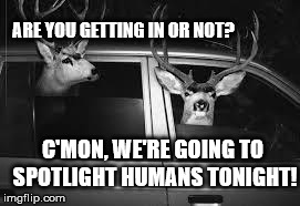 If the Roles Were Reversed | ARE YOU GETTING IN OR NOT? C'MON, WE'RE GOING TO SPOTLIGHT HUMANS TONIGHT! | image tagged in have no time to explain,deer | made w/ Imgflip meme maker