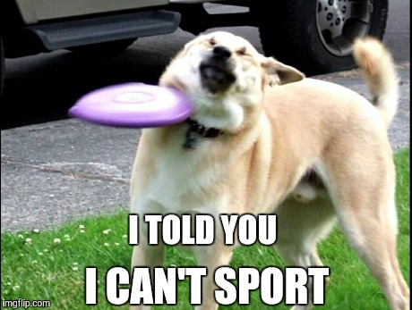 I can't sport | I TOLD YOU I CAN'T SPORT | image tagged in sports,epic fail,sports fail,dogs | made w/ Imgflip meme maker