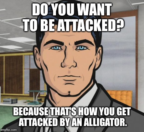 Archer | DO YOU WANT TO BE ATTACKED? BECAUSE THAT'S HOW YOU GET ATTACKED BY AN ALLIGATOR. | image tagged in memes,archer | made w/ Imgflip meme maker