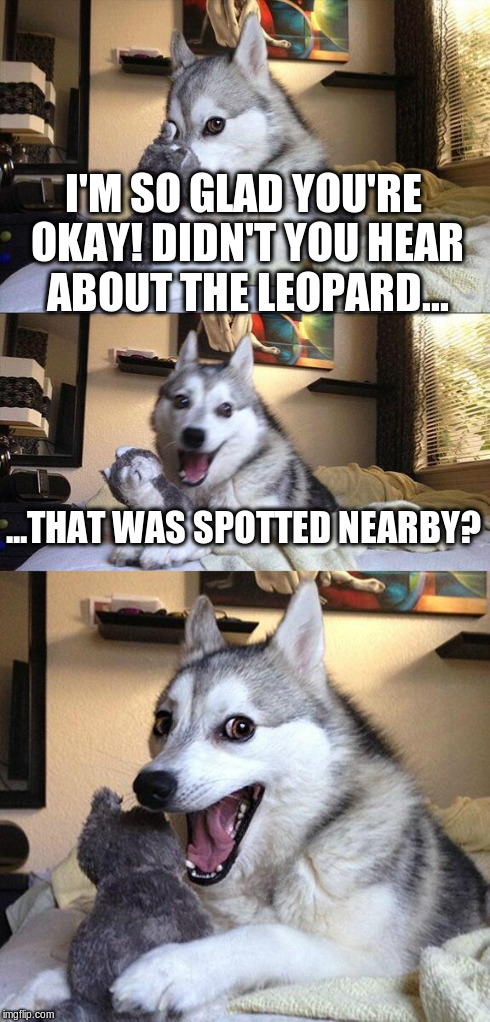 Bad Pun Dog | I'M SO GLAD YOU'RE OKAY! DIDN'T YOU HEAR ABOUT THE LEOPARD... ...THAT WAS SPOTTED NEARBY? | image tagged in memes,bad pun dog | made w/ Imgflip meme maker