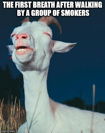 Rediscovering Oxygen | THE FIRST BREATH AFTER WALKING BY A GROUP OF SMOKERS | image tagged in goatmixmeme,smoke,the struggle | made w/ Imgflip meme maker