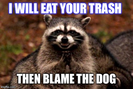 Evil Plotting Raccoon Meme | I WILL EAT YOUR TRASH THEN BLAME THE DOG | image tagged in memes,evil plotting raccoon | made w/ Imgflip meme maker