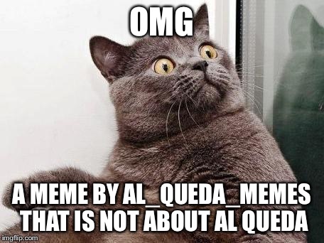 surprised cat | OMG A MEME BY AL_QUEDA_MEMES THAT IS NOT ABOUT AL QUEDA | image tagged in surprised cat | made w/ Imgflip meme maker