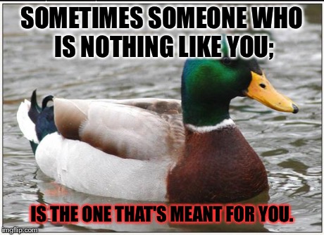 Never Imagined the Love of My Life would be the Cheerleader Type | SOMETIMES SOMEONE WHO IS NOTHING LIKE YOU; IS THE ONE THAT'S MEANT FOR YOU. | image tagged in memes,actual advice mallard,dating | made w/ Imgflip meme maker