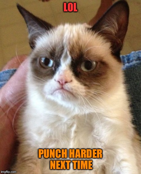 Grumpy Cat Meme | LOL PUNCH HARDER NEXT TIME | image tagged in memes,grumpy cat | made w/ Imgflip meme maker