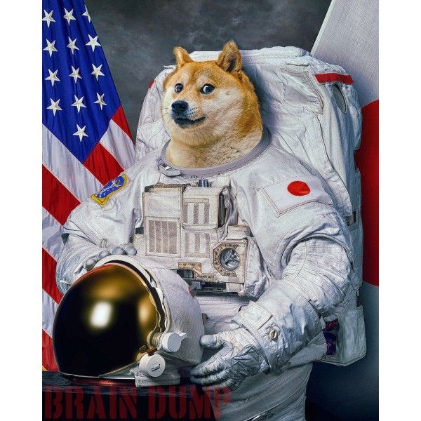 High Quality Doge Astronaut Blank Meme Template