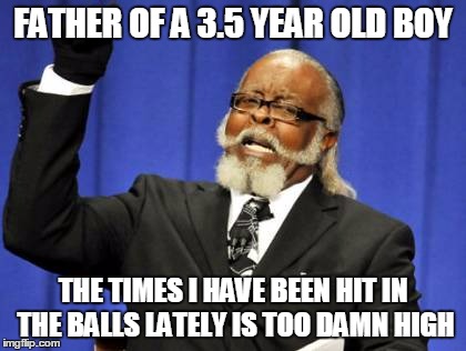 Too Damn High Meme | FATHER OF A 3.5 YEAR OLD BOY THE TIMES I HAVE BEEN HIT IN THE BALLS LATELY IS TOO DAMN HIGH | image tagged in memes,too damn high,daddit | made w/ Imgflip meme maker