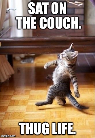 Cool Cat Stroll Meme | SAT ON THE COUCH. THUG LIFE. | image tagged in memes,cool cat stroll | made w/ Imgflip meme maker