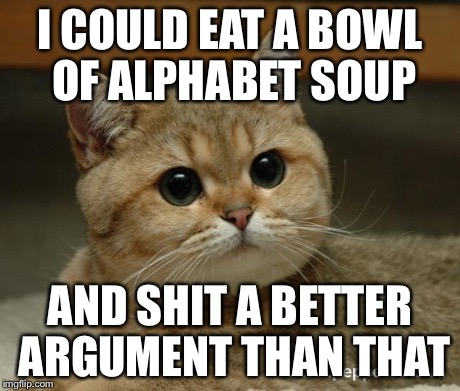 Stare cat | I COULD EAT A BOWL OF ALPHABET SOUP AND SHIT A BETTER ARGUMENT THAN THAT | image tagged in stare cat | made w/ Imgflip meme maker