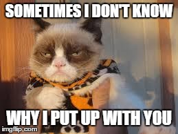 Grumpy Cat Halloween | SOMETIMES I DON'T KNOW WHY I PUT UP WITH YOU | image tagged in memes,grumpy cat halloween,grumpy cat | made w/ Imgflip meme maker
