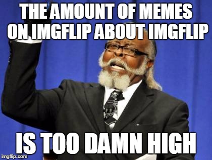 How many memes would there be left that didn't reference imgflip? | THE AMOUNT OF MEMES ON IMGFLIP ABOUT IMGFLIP IS TOO DAMN HIGH | image tagged in memes,too damn high | made w/ Imgflip meme maker
