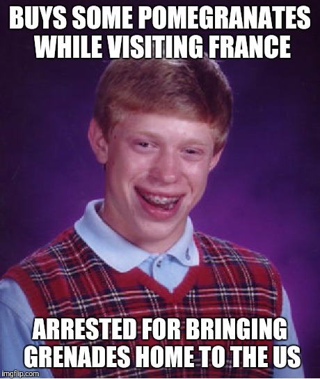 The word's the same in French | BUYS SOME POMEGRANATES WHILE VISITING FRANCE ARRESTED FOR BRINGING GRENADES HOME TO THE US | image tagged in memes,bad luck brian | made w/ Imgflip meme maker