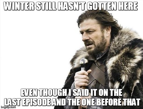 Brace Yourselves X is Coming | WINTER STILL HASN'T GOTTEN HERE EVEN THOUGH I SAID IT ON THE LAST EPISODE AND THE ONE BEFORE THAT | image tagged in memes,brace yourselves x is coming | made w/ Imgflip meme maker