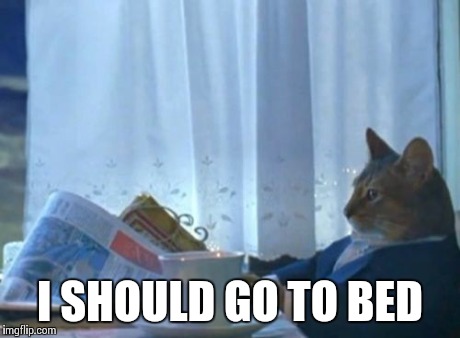 I Should Buy A Boat Cat | I SHOULD GO TO BED | image tagged in memes,i should buy a boat cat | made w/ Imgflip meme maker