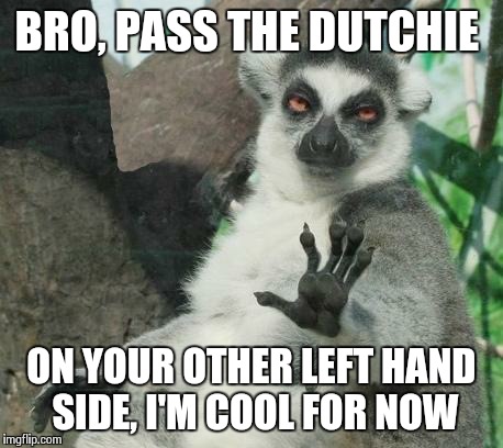 Sure, but What's a Dutchie? | BRO, PASS THE DUTCHIE ON YOUR OTHER LEFT HAND SIDE, I'M COOL FOR NOW | image tagged in memes,stoner lemur | made w/ Imgflip meme maker