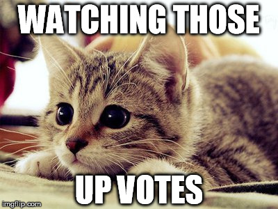 cute kitten is watching | WATCHING THOSE UP VOTES | image tagged in upvote,kittens | made w/ Imgflip meme maker