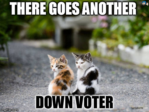 THERE GOES ANOTHER DOWN VOTER | image tagged in they are watching,downvote | made w/ Imgflip meme maker