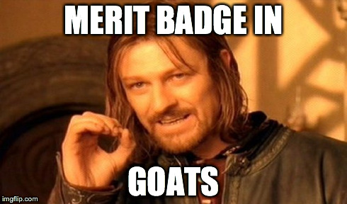 One Does Not Simply Meme | MERIT BADGE IN GOATS | image tagged in memes,one does not simply | made w/ Imgflip meme maker